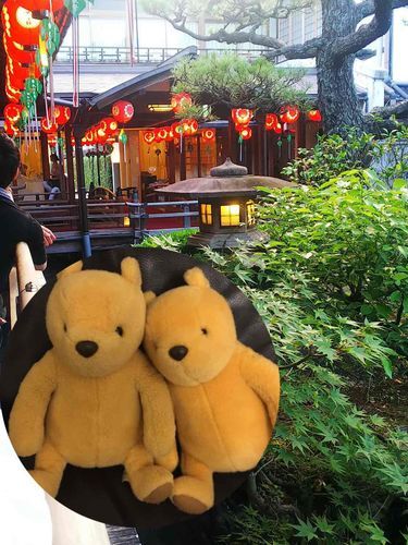 京都で芸妓さんに会えるお店に行ってきたよ。
お庭を見ながら飲むお酒は最高だね！
お友だちぷーはちょっと酔っちゃったみたい。
