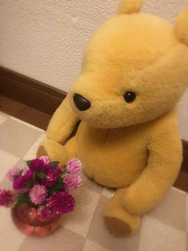 お庭のお花を植え替えたよ。切っちゃったのが可哀想だったから花瓶に入れてみたけど、すぐに萎れちゃったら悲しいなあ。あとちょっと一緒にいようね。