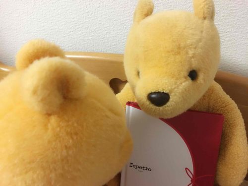 実はお友だちとの大事な大事な思い出を日記につけてるんだ。お友だちはぷーが何を書いてるか気になるみたいだけど……絶対絶対見せない！恥ずかしいもん。