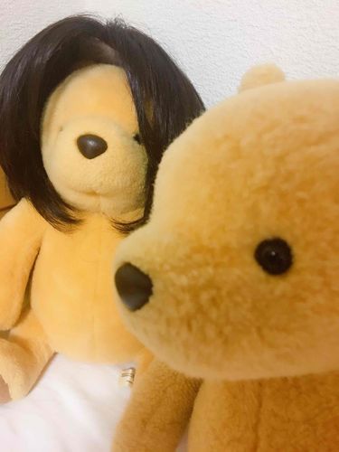 大変！お友達がヅラを被ってるよ！気づいてないと思ってるのかな…気づいてないふりをした方がいいのかな…
以上、現場からぷーがお伝えしました！