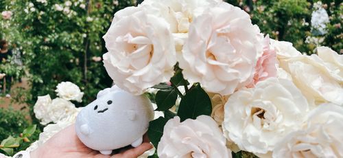 薔薇園に行ってきました！🌹