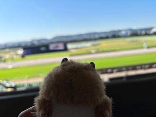 来たな！