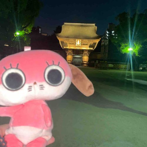 ユッチにわるいことたくさんおきるから、じんじゃにきたよ☆2人でラッキーになれるといいね！