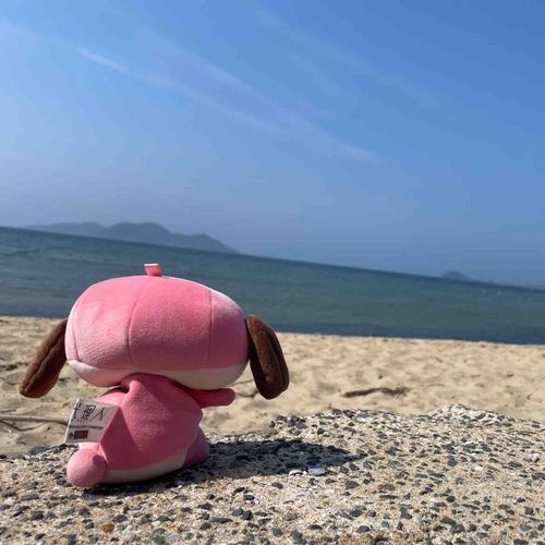 なみのおとがさらさら〜だよ★