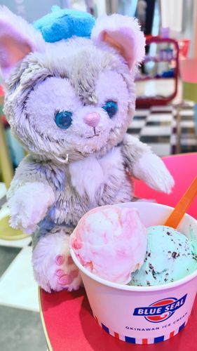 今日は久々のお休み！一緒にお出かけ⭐︎大好きなチョコミントアイスと、ストロベリーチーズケーキアイスのダブル！これで暑さも吹き飛ばして、この後もたーくさん歩けたよ