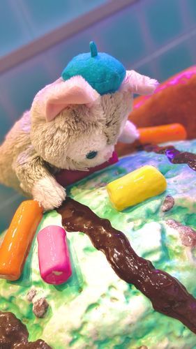この前アイス屋さんにいったら、おっきなアイスがあったから、飛びついてみたんだ！でも、本物じゃなくてオブジェだった……おっきなアイス、いつか食べたいなぁ