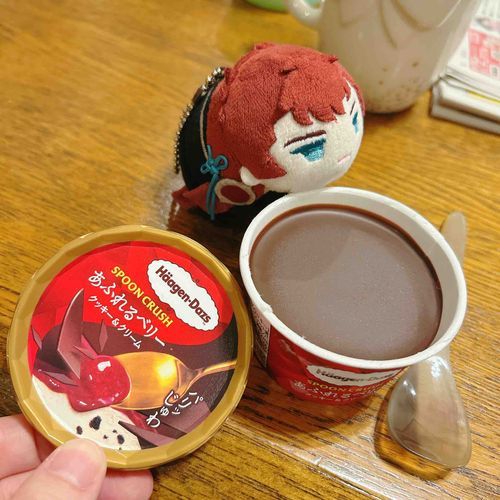 ぜいたくなあいすを、いただいたぞ🍓
みんなは、たべたことあるかな？