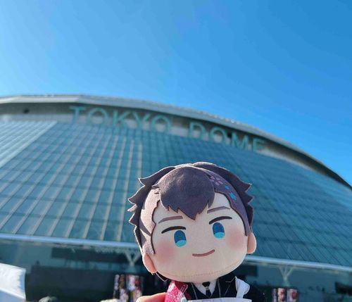 どーむだ！