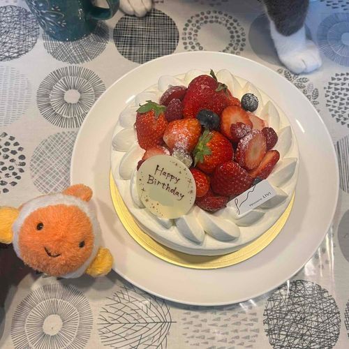 実はちょっとまえにぬしが誕生日むかえてお祝いしたよ🎂ねこのあしうつりこみ🐾