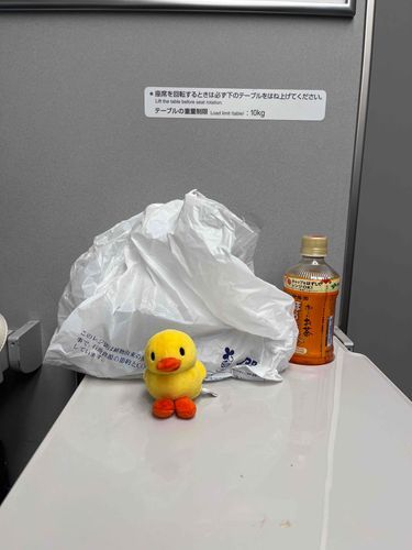 だれかがこちらをみつめている…？！