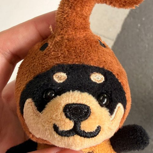 主が県外に行く時だけお供する仲間