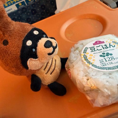ぬしのよるごはん
まめ