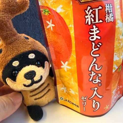 ぬしは みかん すき