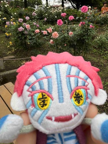 ﾊﾟﾍﾟおにい、ばら🌹いぱいのとこいてきたのて!かわょね~😍　したおとも