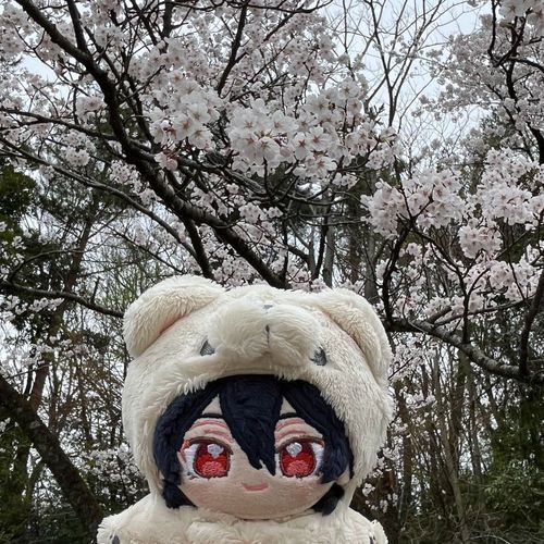 おはなみ　いってきたのじゃ〜🌸