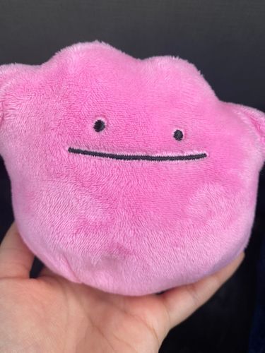 やっと来たぞー！！