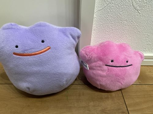 大きさの差がえぐい
( fitと標準サイズ)