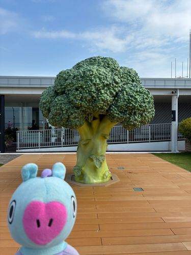 ブロッツリー‼︎