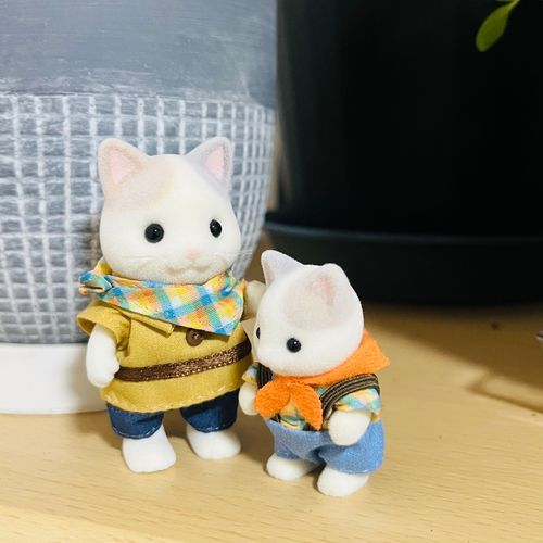 あたらしいおうちにきたよ。