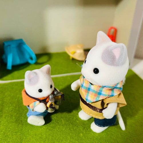きょうは　てんきが　いいね。