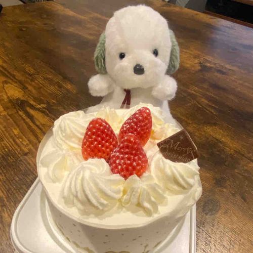 ケーキを食べたよ🍰
