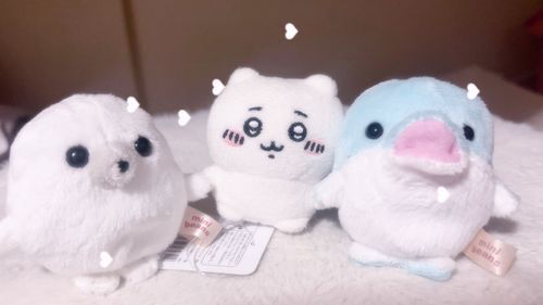 おともだちがまたやってきたね