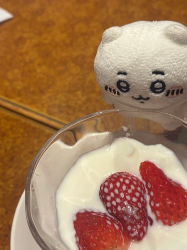 杏仁豆腐もすきかな？