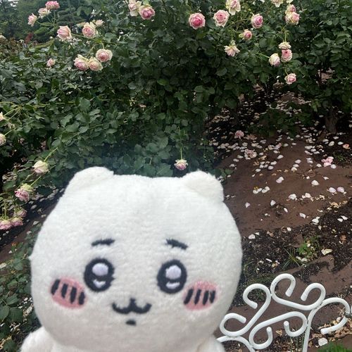 きれいだったねえ