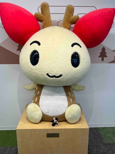 にんげんのちゅうしゃおわり！！おっきいけんけつちゃんとおしゃしんとります！