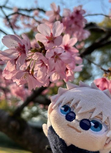 初めてお出かけした日
見た桜の名前がみやびだったよね