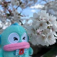 旅に出るぎょどん