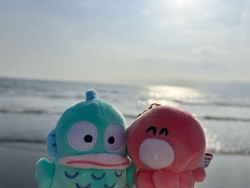 海❣️きれ〜〜い