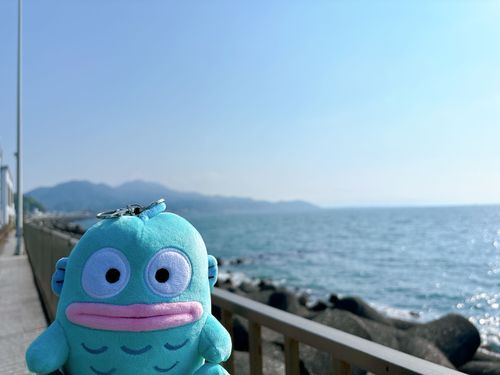今日から2泊3日の旅行に行くよ❣️
お天気良くてサイコー！楽しむぞ〜