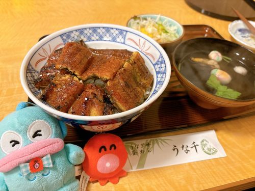岐阜県でうなぎを食べたよ❣️すっごいおいしい……高級なお味だぁ〜