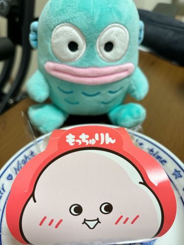 初めてのもっちゅりんを食べたよ❣️
いちご味は売り切れてて、きなことみたらしを食べたよ〜ぼくはきなこの方が好き🥰もちもちでおいしいね！