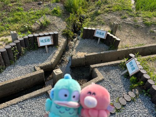 埼玉と群馬と茨城の三県境❣️
