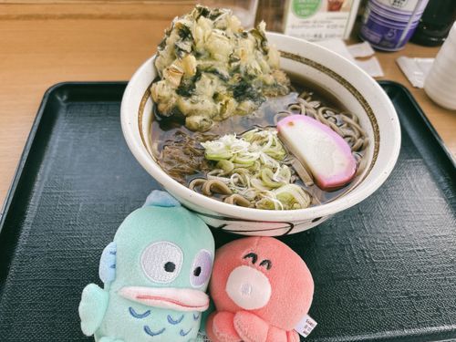 長野県にきたよ❣️野沢菜のかき揚げ蕎麦！めちゃくちゃ美味しかったよ😋😋