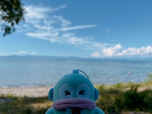 滋賀県にきたよ❣️琵琶湖綺麗✨