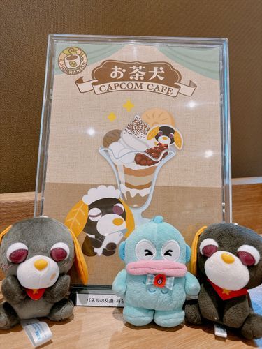 今日はお茶犬カフェに行ってきたよ〜❣️❣️推しはロンくん！ロンくんの席に座れて幸せ〜♡