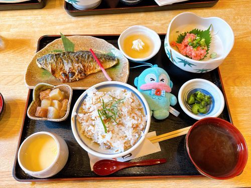 お昼はお魚定食を食べたよ❣️ウマウマすぎる！！