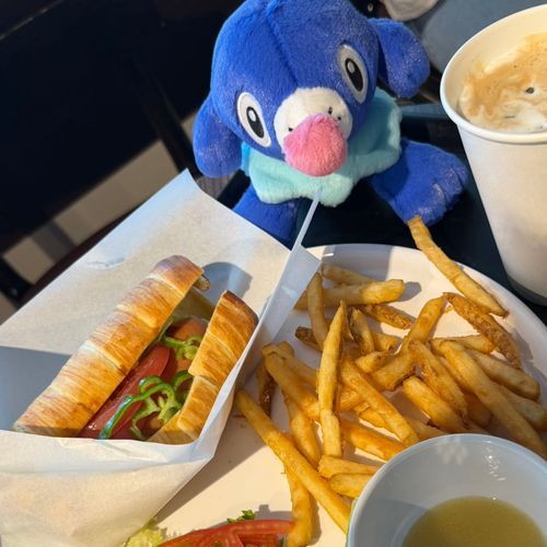 くじで我が家に来てくれたアシマリのまりちゃん