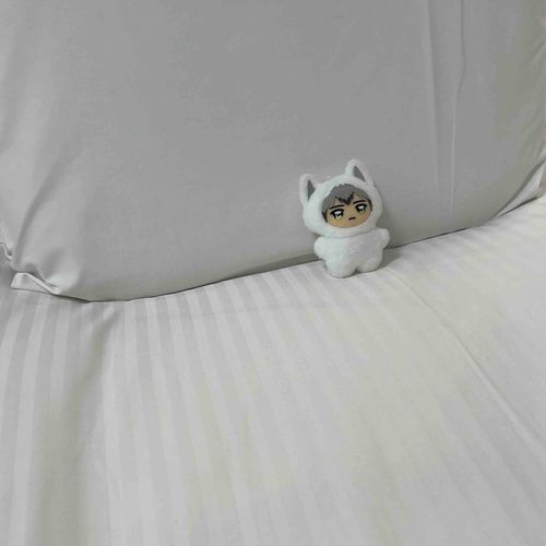 🛌