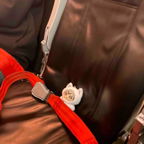 飛行機ではちゃんとシートベルト締めんねん✈️

今回 は 人間の卒業旅行について来て貰いました👩🏼‍🎓🛬