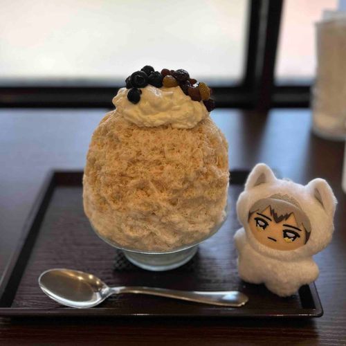 ラムレーズンとブルーベリーのかき氷を食べたよ🍧✨