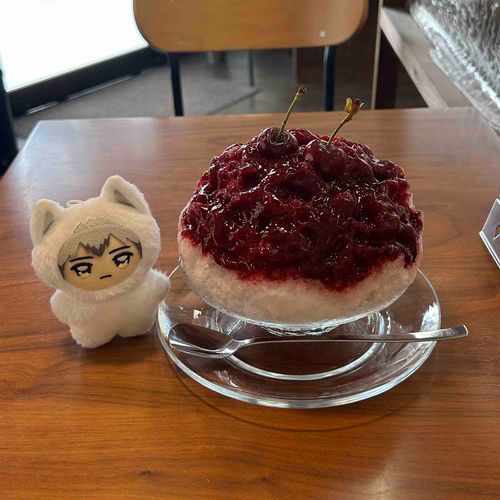 アメリカンチェリー🍒
夏が近づいて来たのでかき氷部忙しいです₍ᐢᵒ̴̶̷̥́  ·̮ ᵒ̴̶̷̥́ ᐢ₎