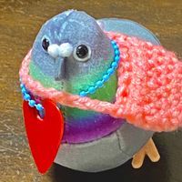 ハポック