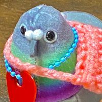 ハポック