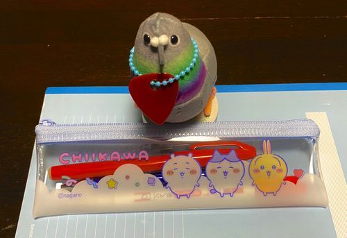 可愛いペンケース！ﾎﾟｩ