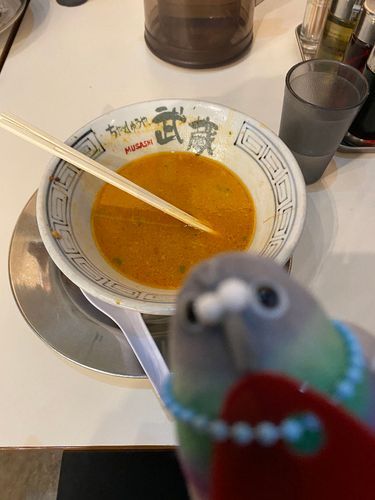 これ 撮り忘れたけど ラーメンだったっﾎﾟ