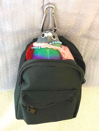 新しいおうち！